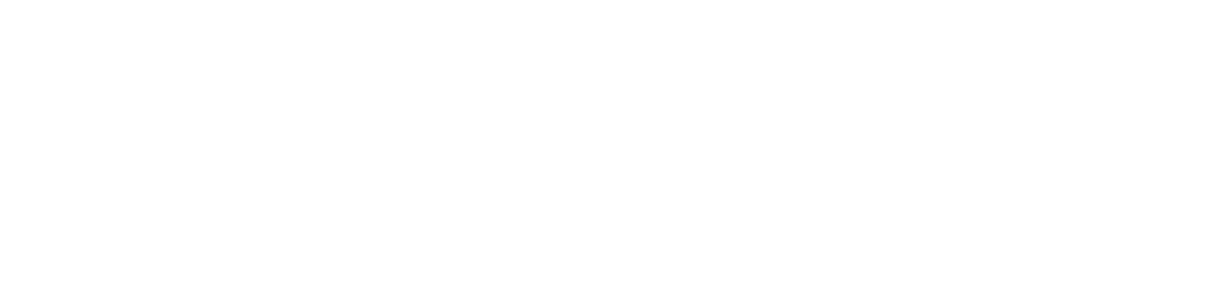 OWASP.AI